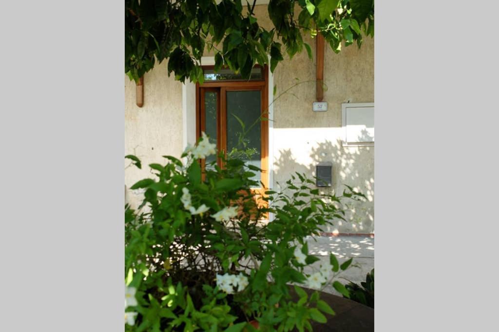 La Casina Di Bruna Mommio Eksteriør billede